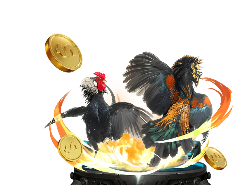 Hỗ trợ khách hàng 666vn